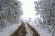 Uvećaj fotografiju
